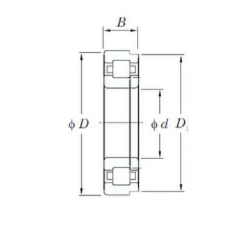 Rodamiento NUP2234 KOYO