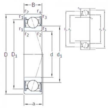 Rodamiento VEB 100 /S/NS 7CE1 SNFA