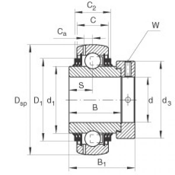 Rodamiento GE50-KTT-B INA #1 image