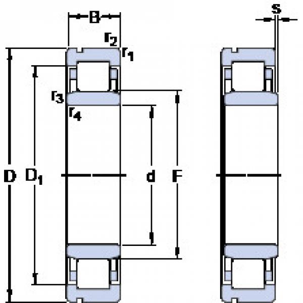 Rodamiento NU 311 ECNJ SKF #1 image